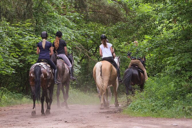 kusadasi-horse-riding-beach-and-forest-with-transfer