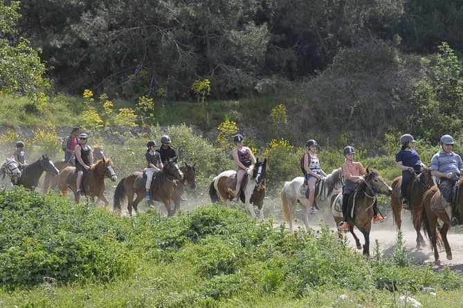kusadasi-horse-riding-beach-and-forest-with-transfer