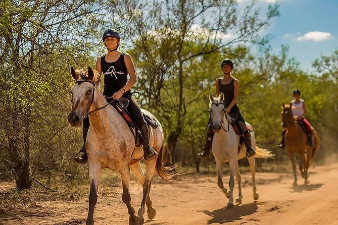 kusadasi-horseback-riding