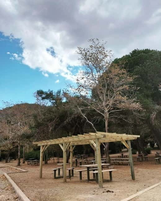 Kusadasi National Park Shinrin Yoku Tour - Who Should Consider This Tour?