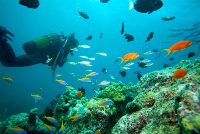 kusadasi-scuba-diving-2