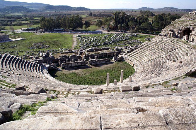 Kusadasi Shore Excursion: Private Full-Day Tour to Ephesus, Didyma and Miletus - Who Should Book This Tour?