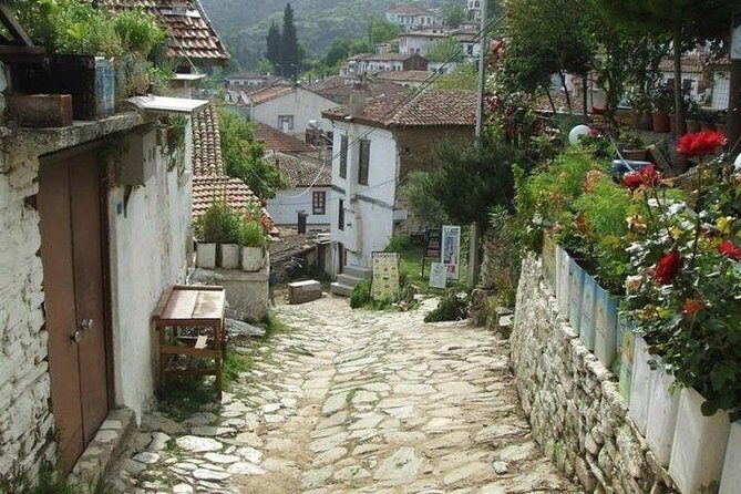 Kusadasi Shore Excursion: Private Full-Day Tour to Ephesus, Didyma and Miletus - Final Thoughts
