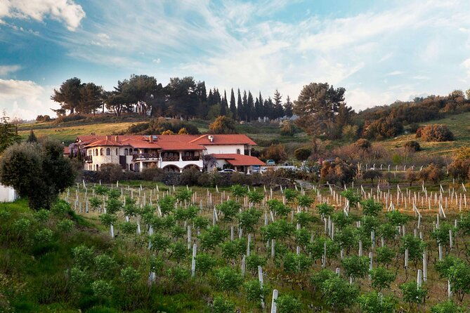 kusadasi-shore-excursions-ephesus-and-wine-tasting-tours