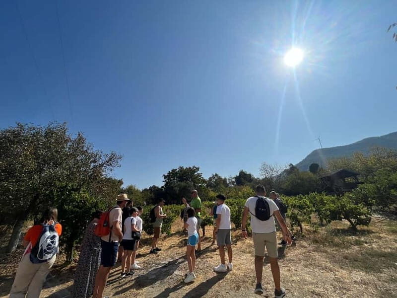Kusadasi Village Tour & Traditional Food Tasting - The Experience from Real Travelers’ Perspectives