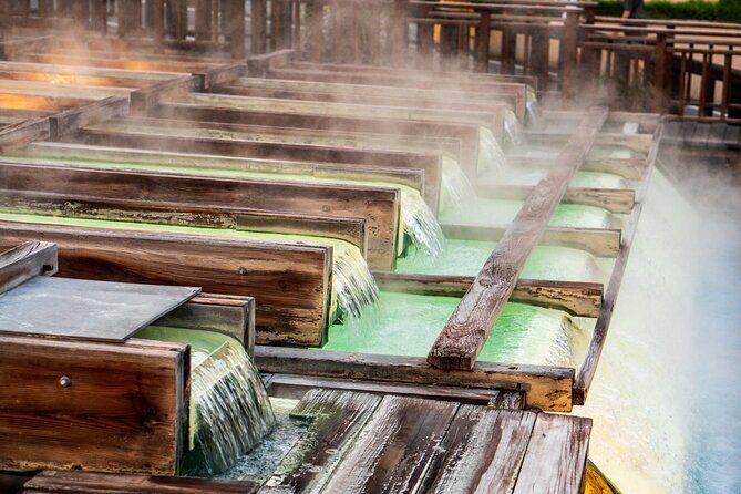 Kusatsu: Hot Spring Culture Walk at Yubatake & Sainokawara - Who Will Love This Tour?