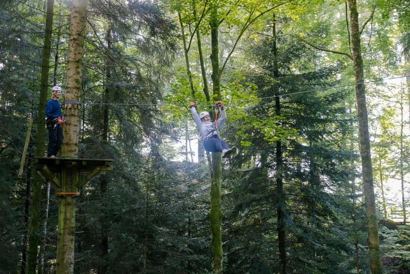 Küssnacht: Ropes Park Rigi Climbing Adventure with Entry Ticket - The Experience: What You’ll Feel and See