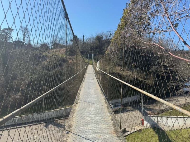 Kutaisi: Vani Archaeological Museum & Sulfur Baths Tour - An Overview of What to Expect