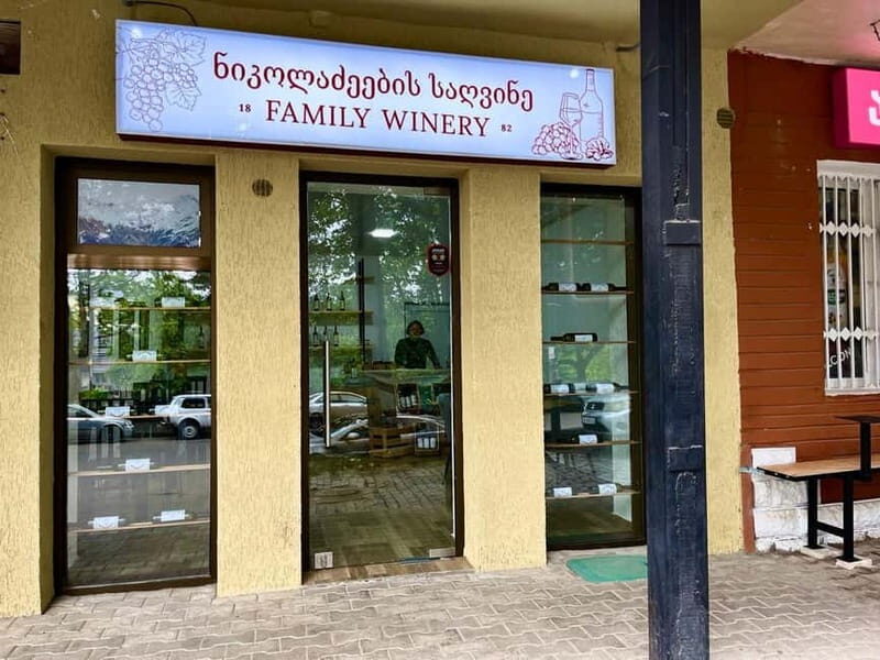Kutaisi: Wine Tasting in Family Winery shop - A Deep Dive into the Wine Tasting Experience