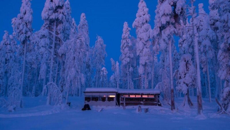 kuusamo-wildlife-of-oulanka-photography-excursion