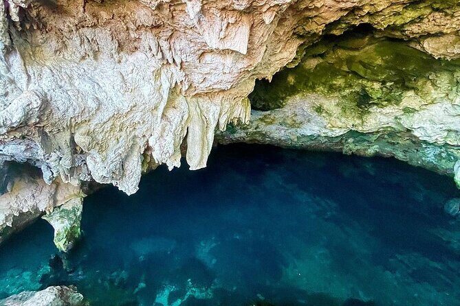 Kuza Cave, Monkey Tour, Secret Garden, Prison Island, Salaam Cave - Overview of the Tour