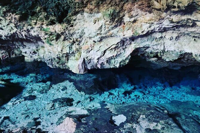 Kuza Cave, Monkey Tour, Secret Garden, Prison Island, Salaam Cave - Authentic Experiences and Reviewer Insights