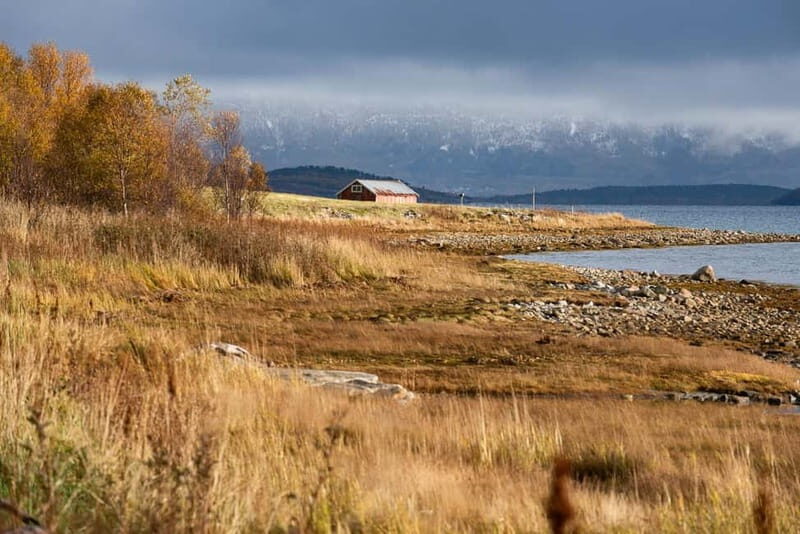 Kvaløya Island: Photography Tour with Snacks - The Value of the Experience