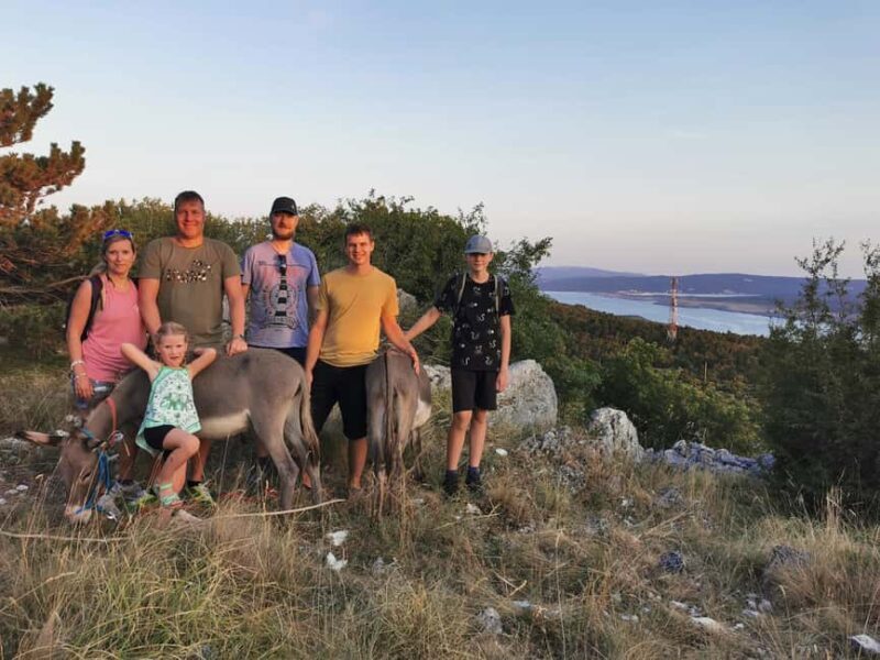 Kvarner/mrika Guided Donkey Walk, Cave & Scenic Picnic Spot - The Starting Point: Donkey Farm OPG "Suzi"