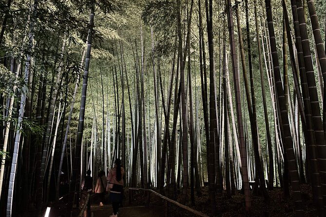 kyoto-1-day-golden-route-bus-tour