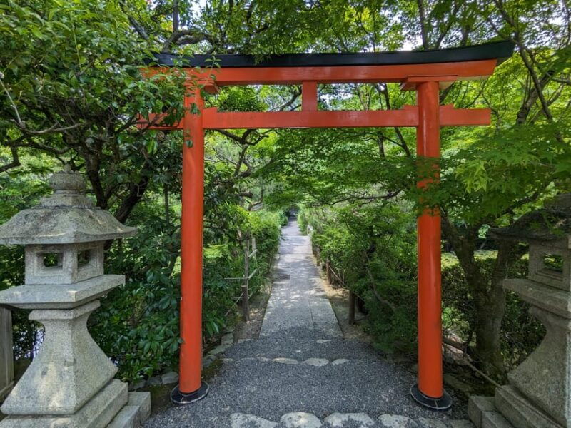 kyoto-100-private-custom-tour-4-8-hrs