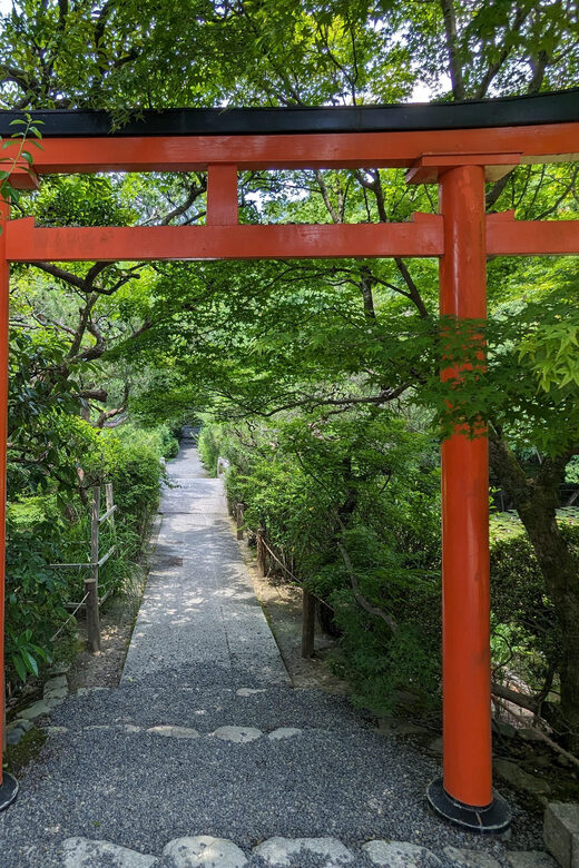 Kyoto: 100% Private Custom Walking Tour (4/8 Hrs) - An Approximate Breakdown of What to Expect