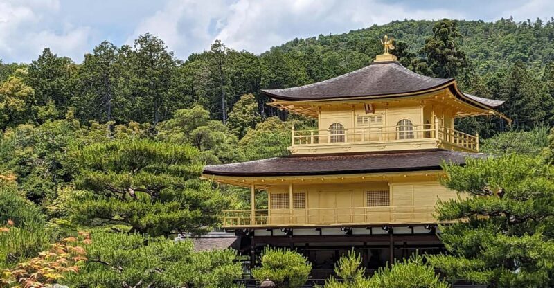Kyoto: 100% Private Custom Walking Tour (4/8 Hrs) - Who Should Opt For This Tour?