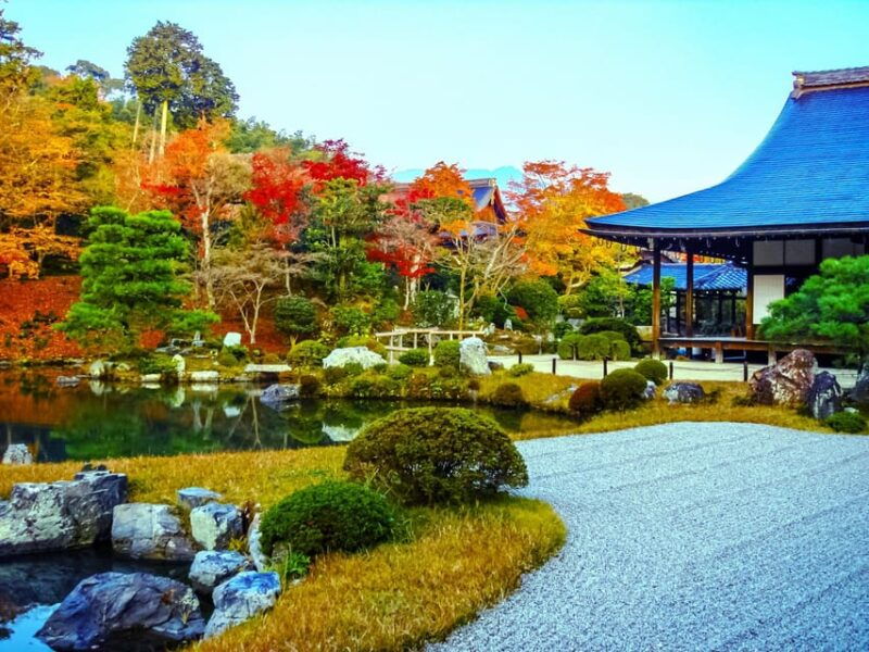 kyoto-2-hour-guided-tour-of-arashiyamas-autumn-leaves
