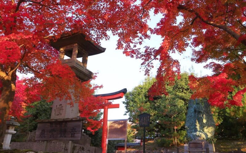 kyoto-2-hour-guided-tour-of-arashiyamas-autumn-leaves