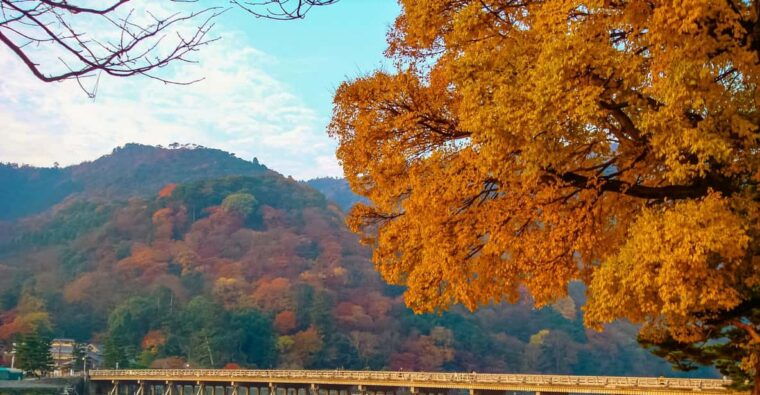 kyoto-2-hour-guided-tour-of-arashiyamas-autumn-leaves