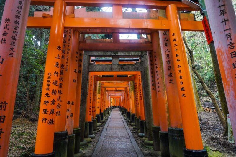 kyoto-3-hour-fushimi-inari-shrine-hidden-hiking-tour