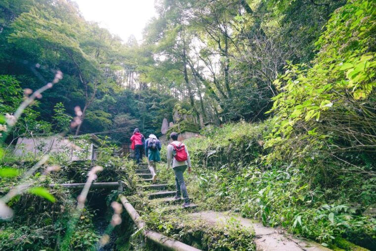 kyoto-3-hour-fushimi-inari-shrine-hidden-hiking-tour
