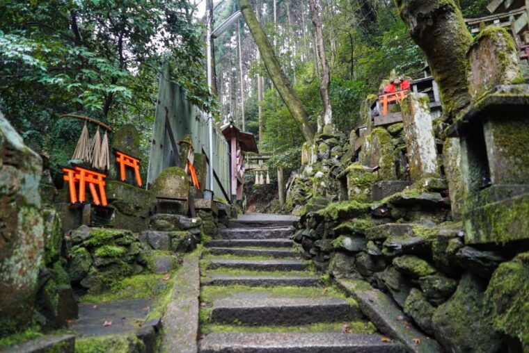 kyoto-3-hour-fushimi-inari-shrine-hidden-hiking-tour