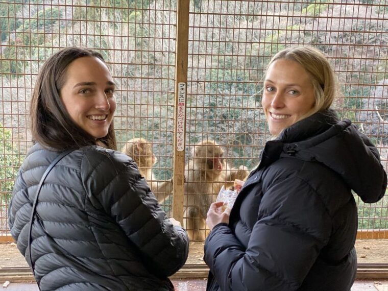 kyoto-afternoon-bamboo-forest-and-monkey-park-bike-tour