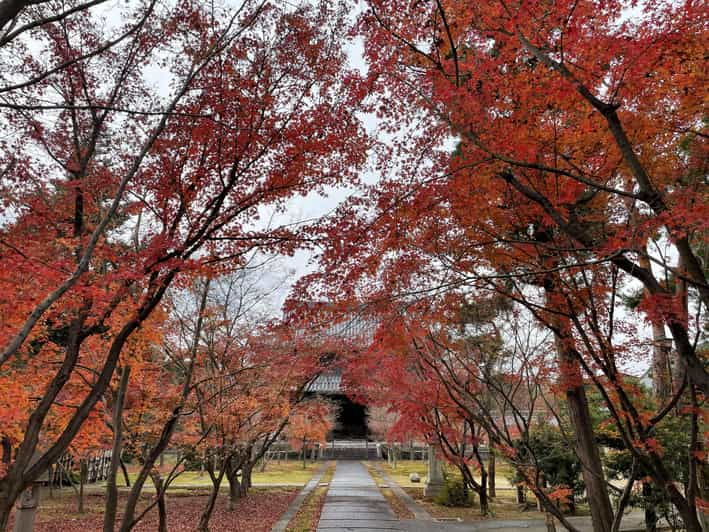 kyoto-all-included-customized-sightseeing-tour-with-local