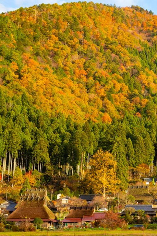 kyoto-amanohashidate-miyama-village-ine-bay-full-day-tour
