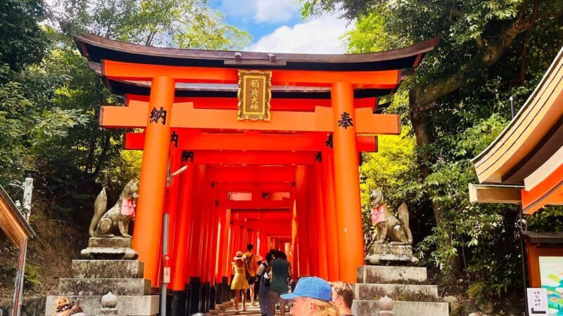 Kyoto and Nara Customised Full Day Private Tour with Pickup - Key Points