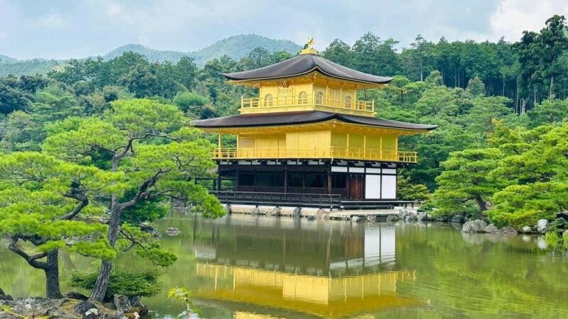 Kyoto and Nara Customised Full Day Private Tour with Pickup - An Introduction to This Kyoto and Nara Tour