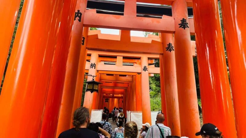 Kyoto and Nara Customised Full Day Private Tour with Pickup - Final Thoughts: Is It Worth It?