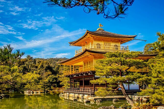 Kyoto and Nara Customizable Private Tour with English Driver - Considerations and Tips
