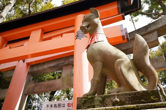 Kyoto and Nara Day Tour from Kyoto - Who Should Consider This Tour?