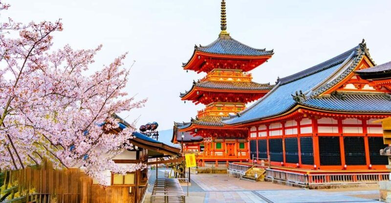 kyoto-and-nara-day-tour-with-kiyomizu-deranara-parktemple