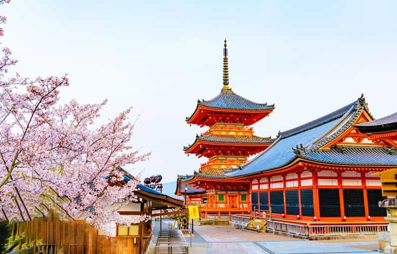 kyoto-and-nara-day-tour-with-kiyomizu-deranara-parktemple