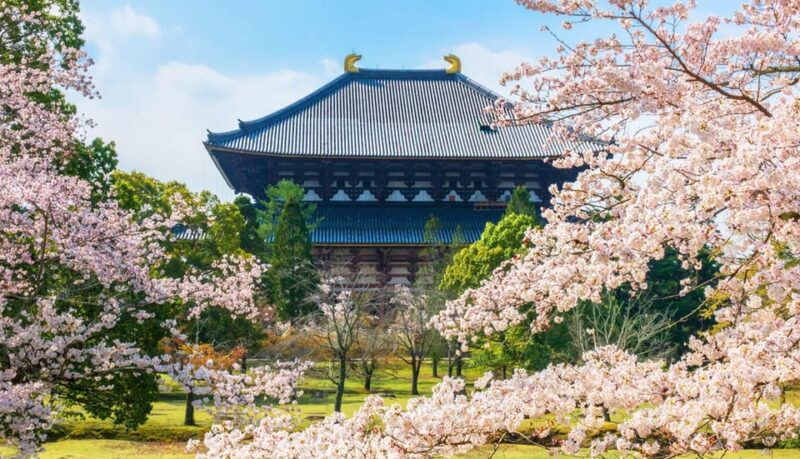kyoto-and-nara-day-tour-with-kiyomizu-deranara-parktemple