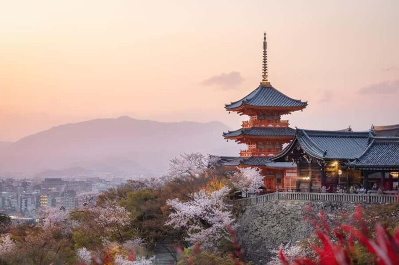 Kyoto And Nara Heritage Day Tour With Optional Culture Lunch - FAQ