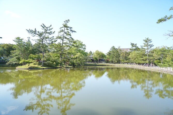 kyoto-and-nara-in-1-day-in-fushimi-inari-and-deer-park