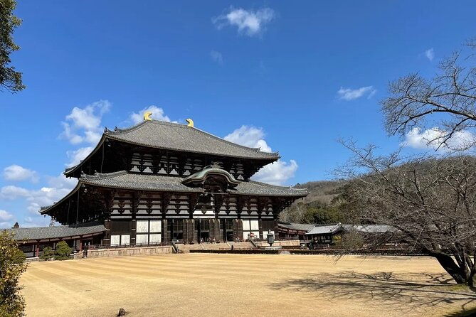 kyoto-and-nara-park-one-day-tour-with-lunch-from-osaka-kyoto