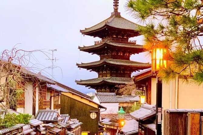 Kyoto and Nara Private Customizable Day Trip by Luxury Car - The Appeal of a Private Customizable Tour