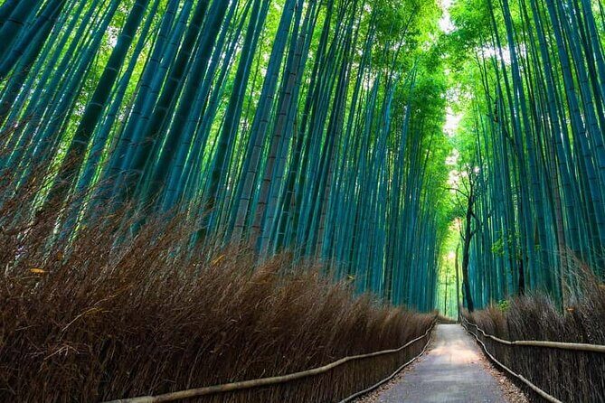 Kyoto and Nara Private Customizable Day Trip by Luxury Car - FAQ