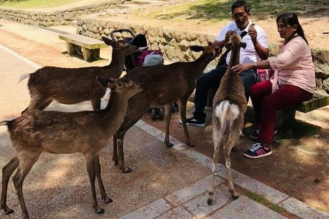 kyoto-and-nara-private-guided-tour-with-free-entrance-fee