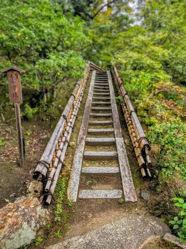 Kyoto and Nara: private tour with English speaking Guide - Key Points