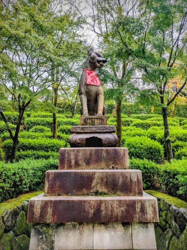 Kyoto and Nara: private tour with English speaking Guide - FAQs