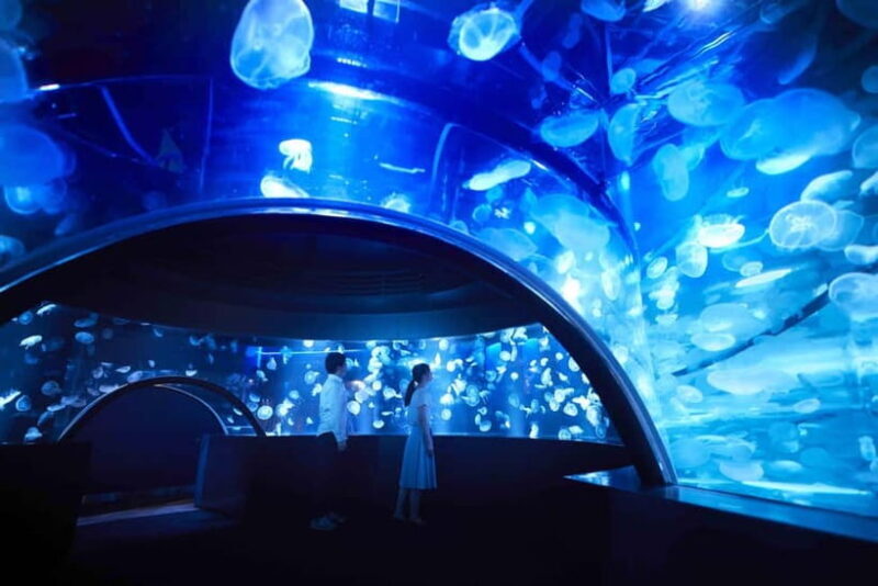 Kyoto Aquarium Admission Ticket - What to Expect at Kyoto Aquarium