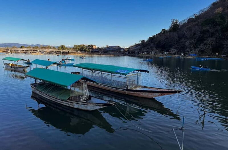 Kyoto: Arashiyama and Bamboo Forest Tour - An Introduction to the Tour Experience