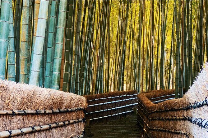 Kyoto: Arashiyama, bamboo forest and beyond - Key Points